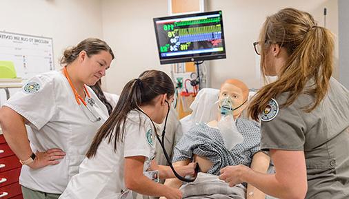 Nursing students working on a simulation patient